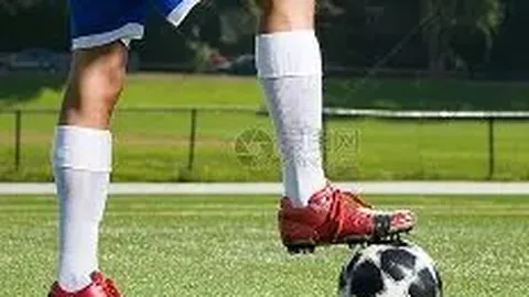 Kaiyun开云官方网站 资讯 114540 qqj