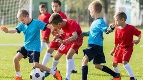 法足协主席承诺：将向国际足联反映球迷对世界杯票价的不满情绪